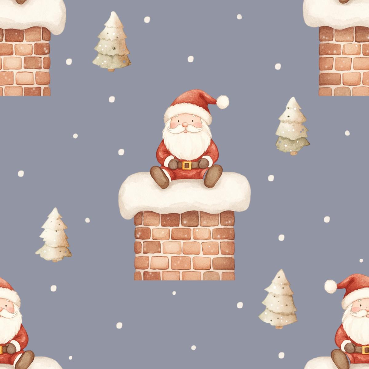 Santa Clause - Bio Jersey / Bio French Terry
